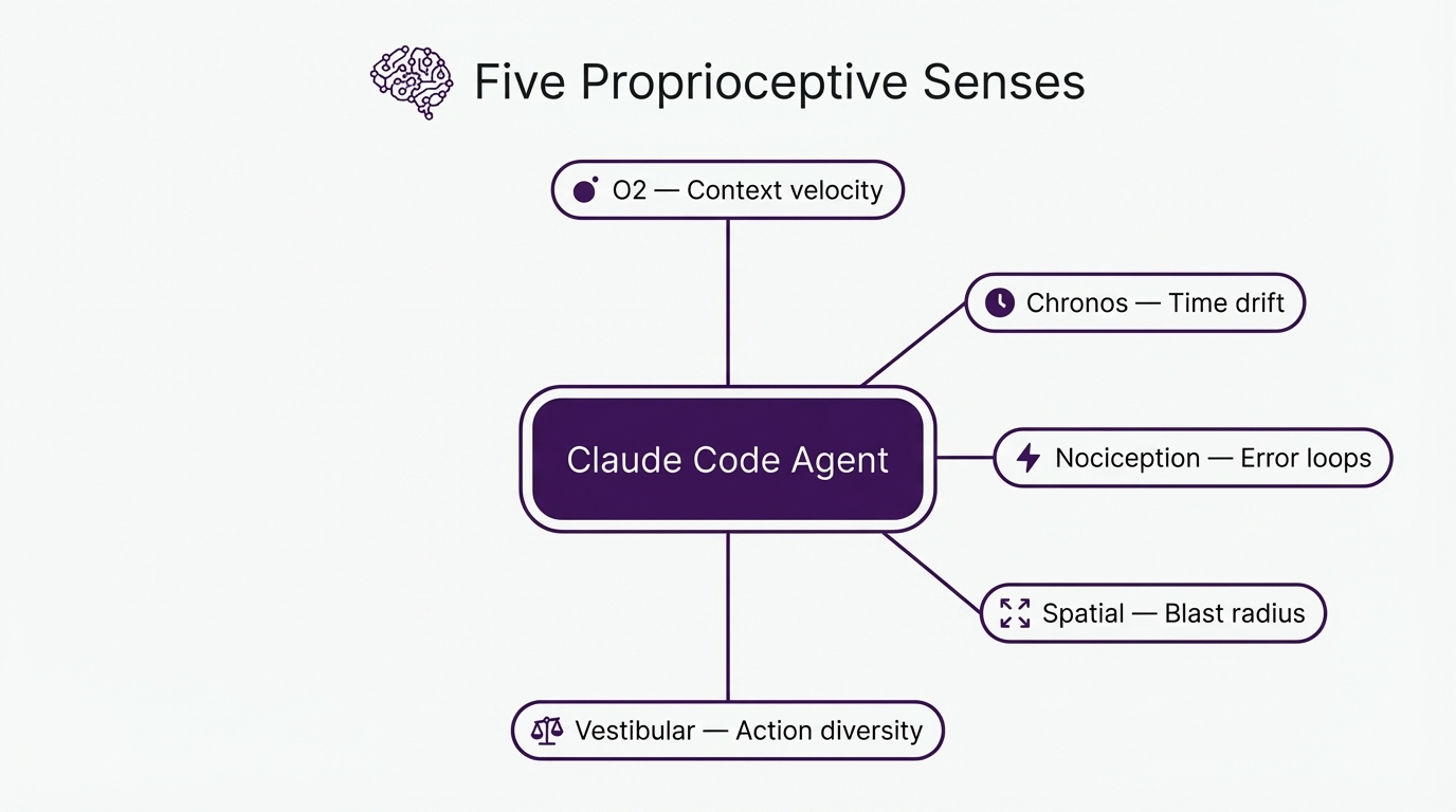 Imagen 2: Cinco sentidos propioceptivos (O2, Chronos, Nocicepción, Espacial y Vestibular) radiando desde el agente