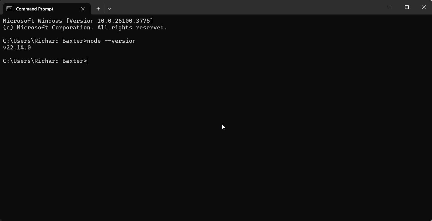 Imagen 3: Versión de Node v22.14.0